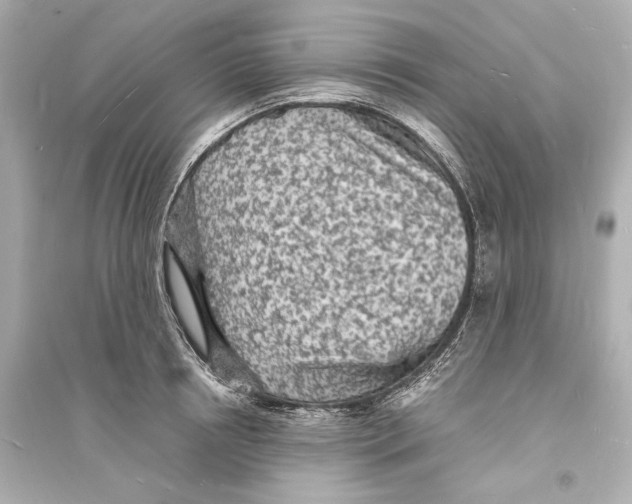 X0000093730850200711131036