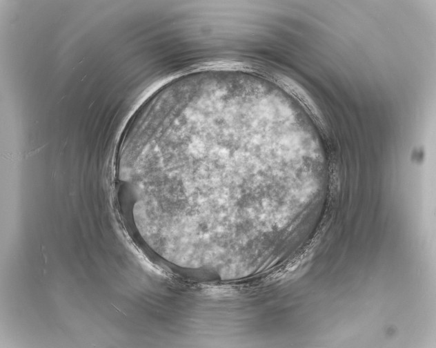 X0000093730852200711131036