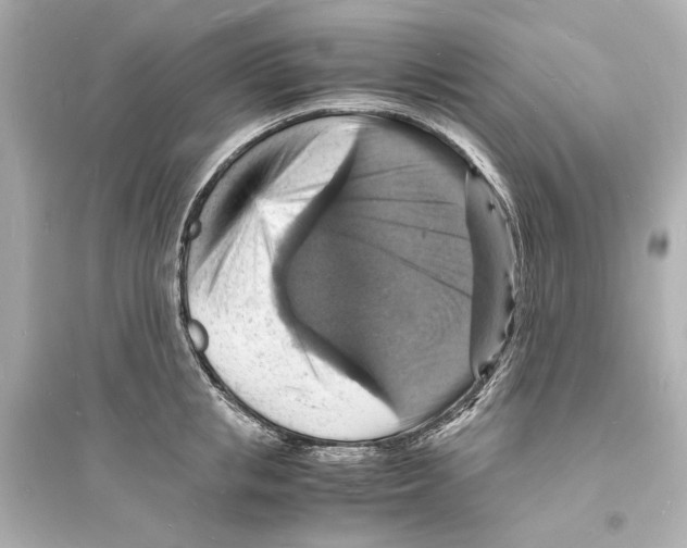 X0000093730853200711131036