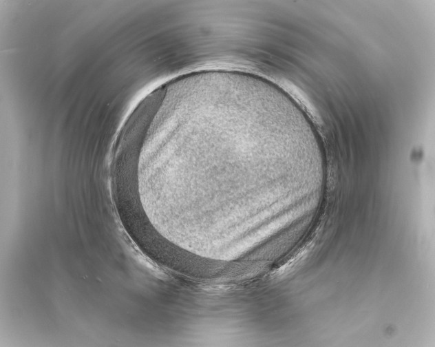 X0000093730854200711131036
