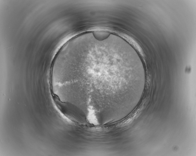 X0000093730855200711131036