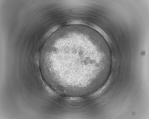 X0000093730857200711131036