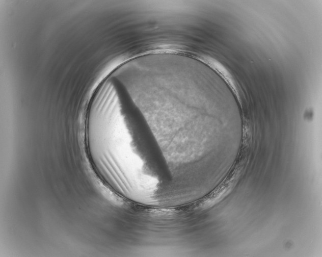 X0000093730859200711131036