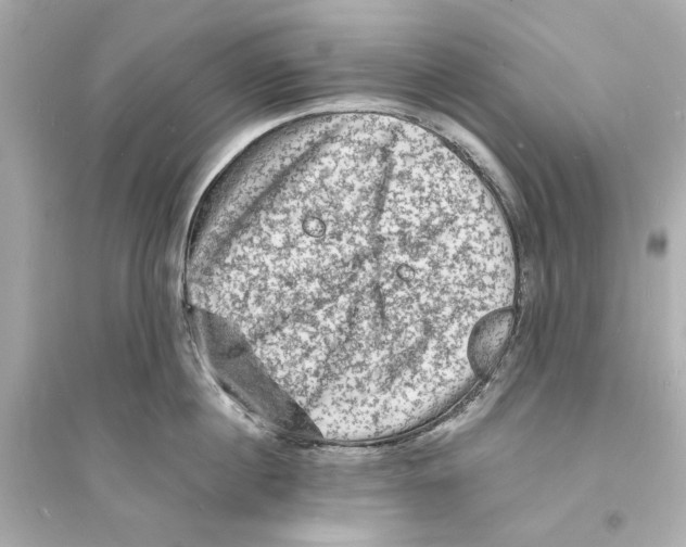 X0000093730860200711131036
