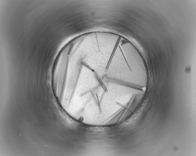 X0000093730862200711131036