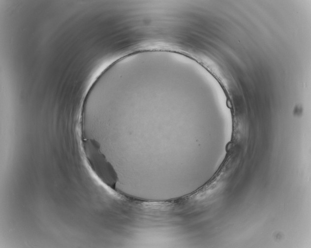 X0000093730863200711131036