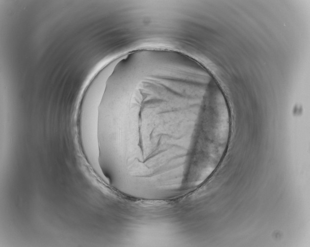 X0000093730864200711131036