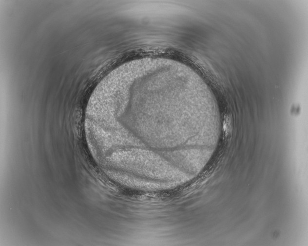 X0000093730867200711131035