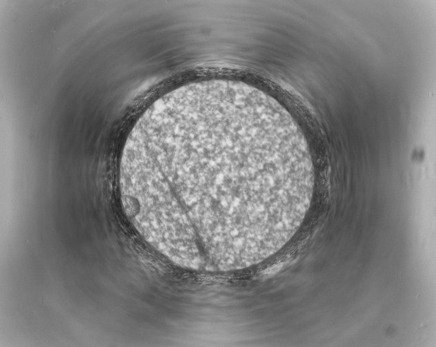 X0000093730870200711131035