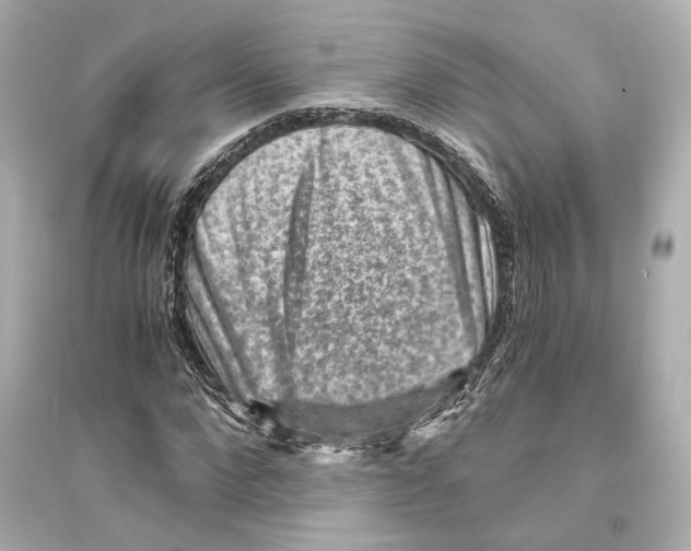 X0000093730872200711131035
