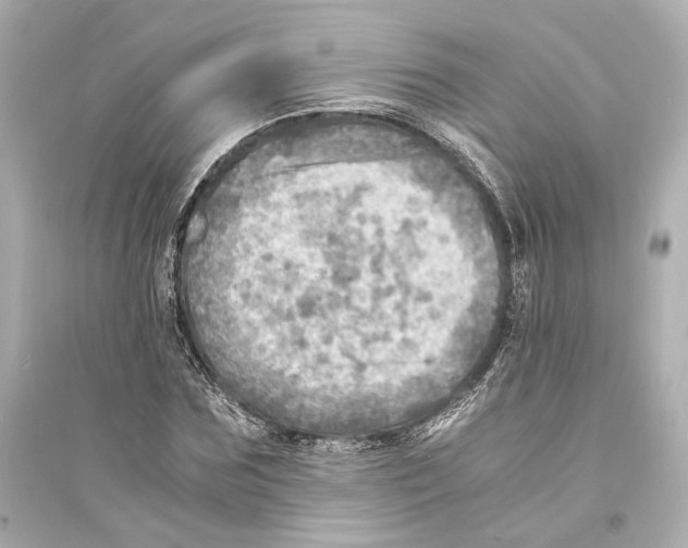 X0000093730875200711131035