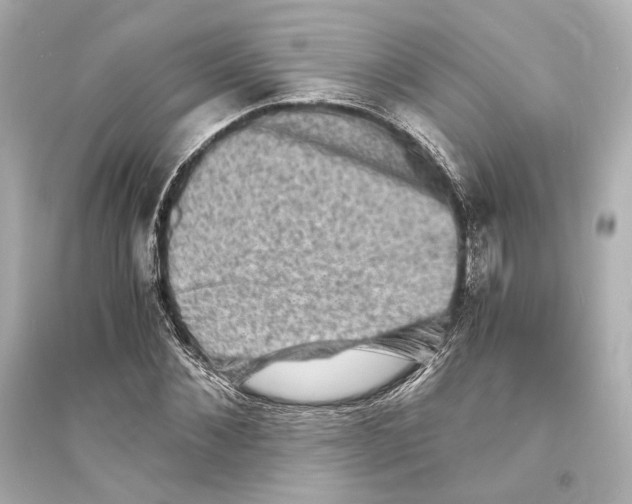 X0000093730876200711131035
