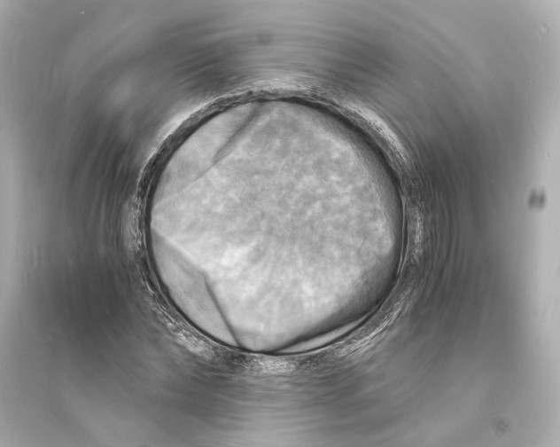 X0000093730878200711131035