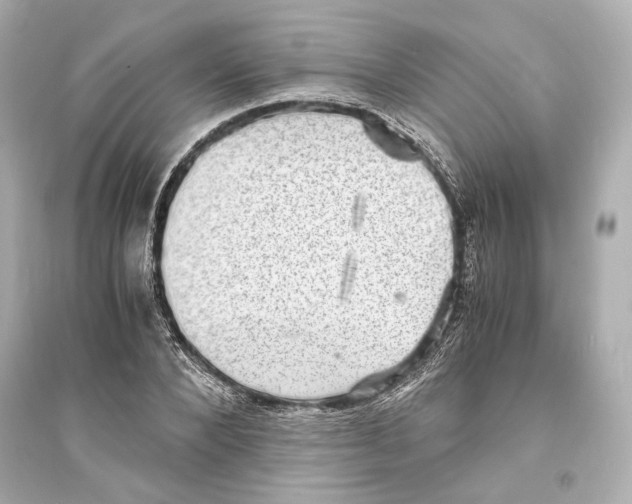 X0000093730880200711131035