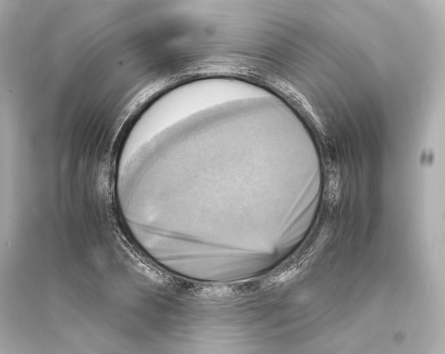 X0000093730882200711131035