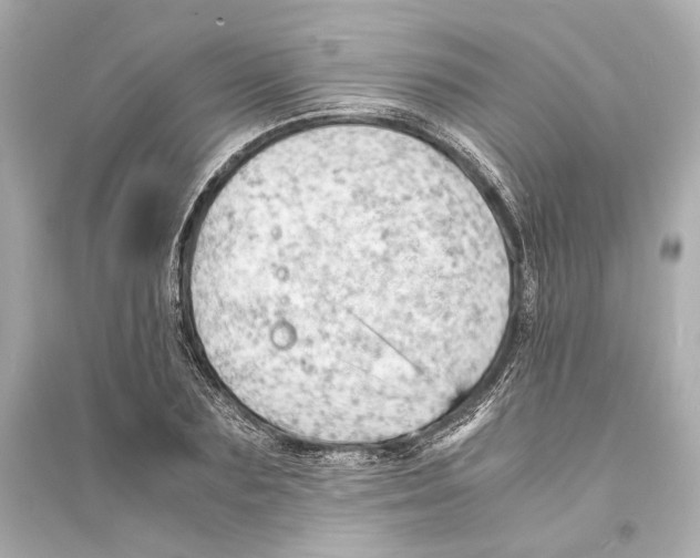 X0000093730883200711131035