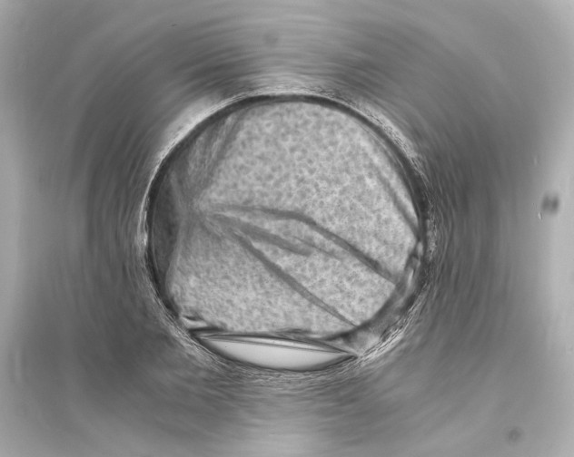 X0000093730885200711131035