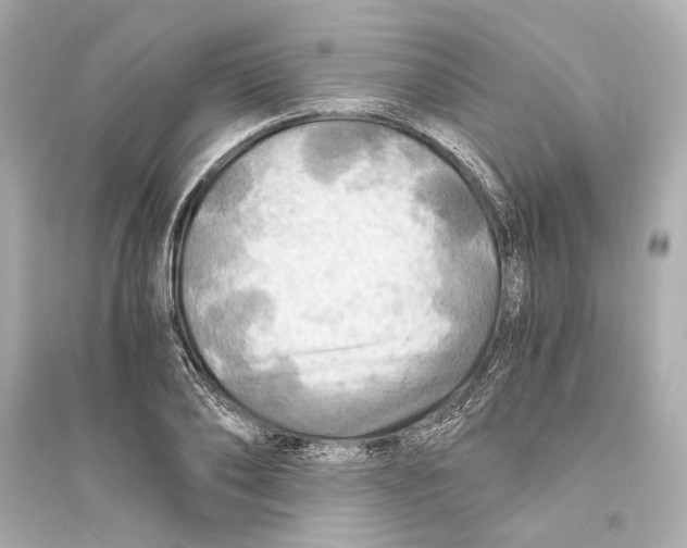 X0000093730886200711131035