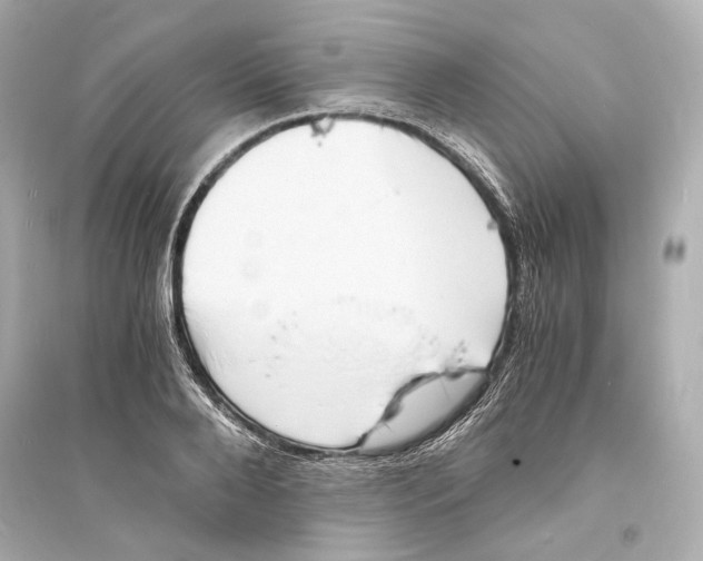 X0000093730888200711131035