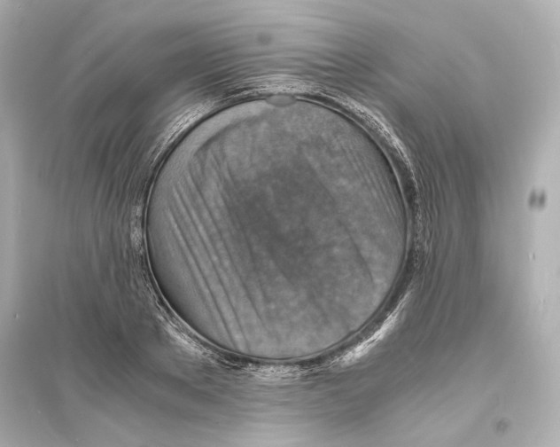 X0000093730889200711131035