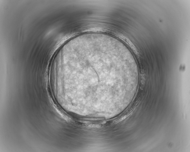 X0000093730890200711131035