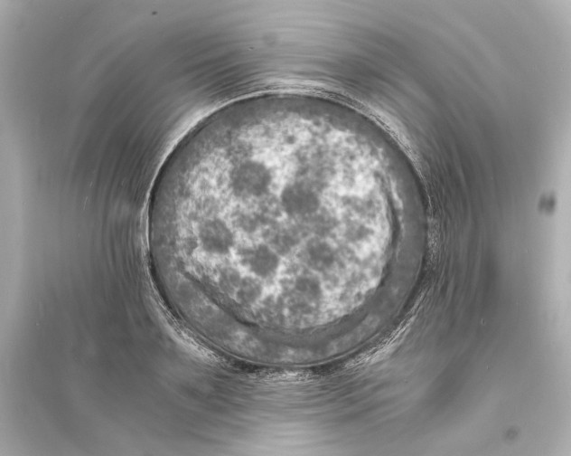 X0000093730891200711131035