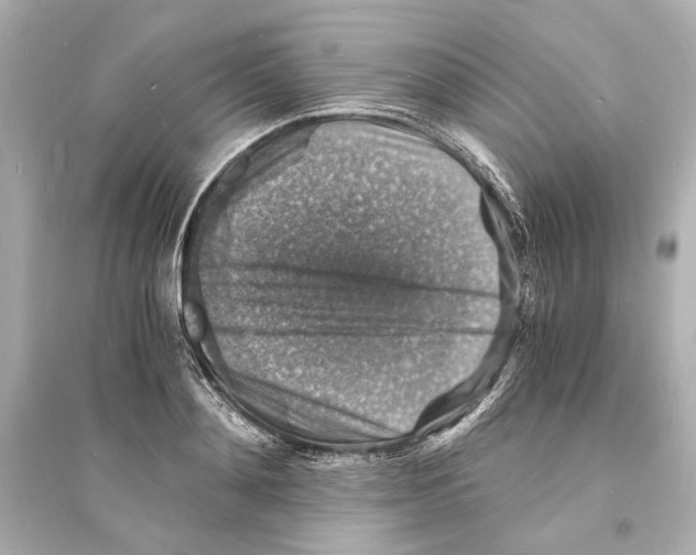X0000093730892200711131035