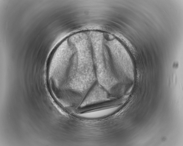 X0000093730894200711131035