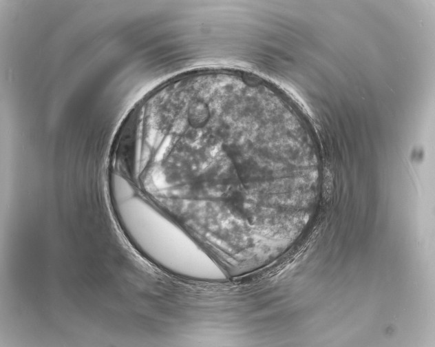 X0000093730895200711131035
