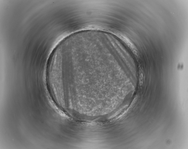 X0000093730896200711131035