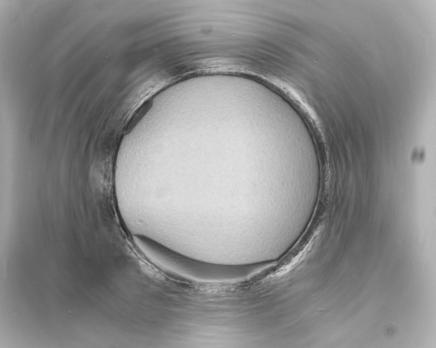 X0000093730897200711131035