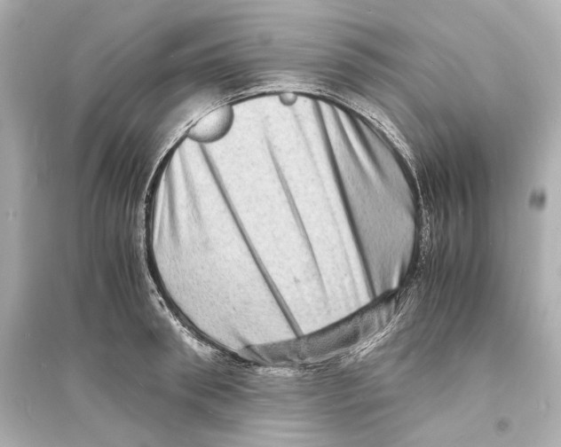 X0000093730898200711131035
