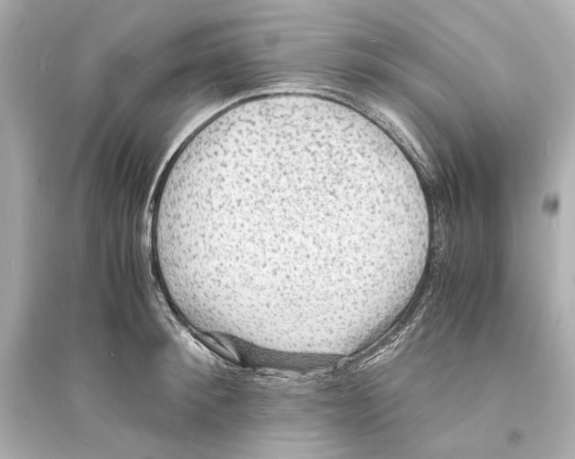 X0000093730900200711131035