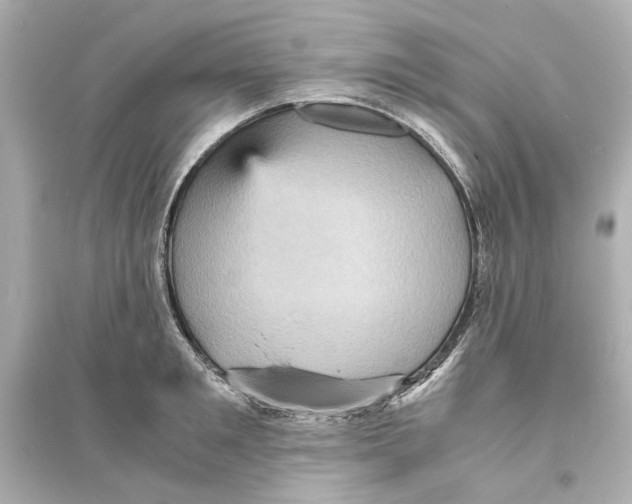 X0000093730901200711131035