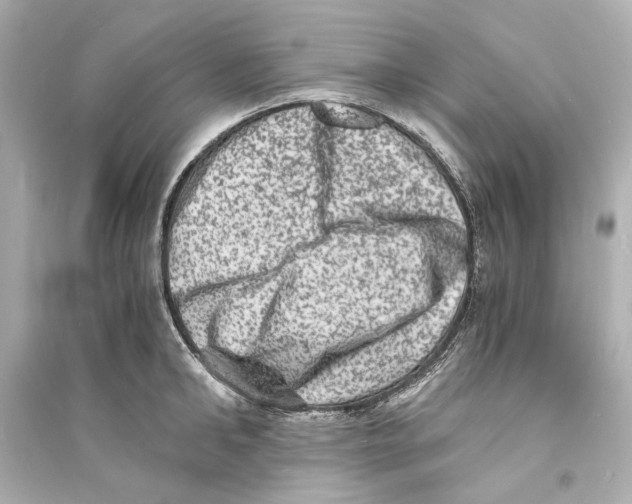 X0000093730902200711131035