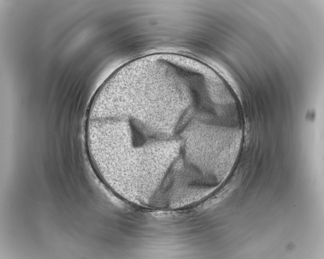 X0000093730906200711131035