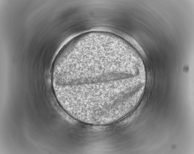 X0000093730908200711131035