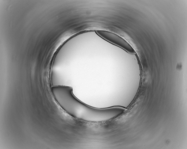 X0000093730909200711131035