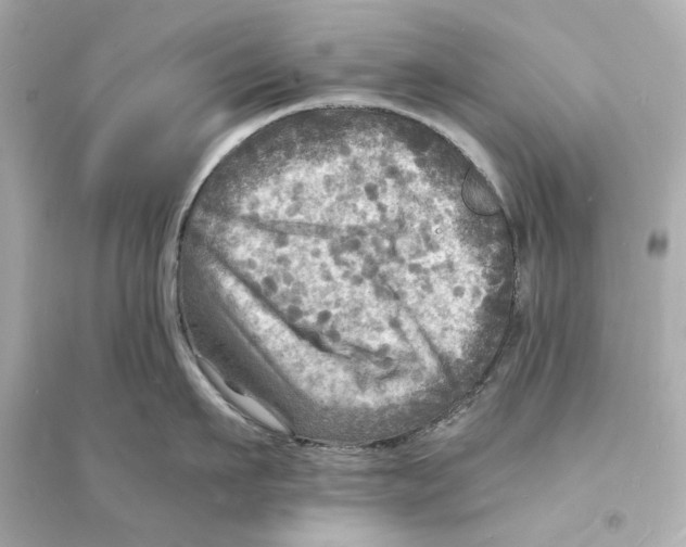 X0000093730911200711131035