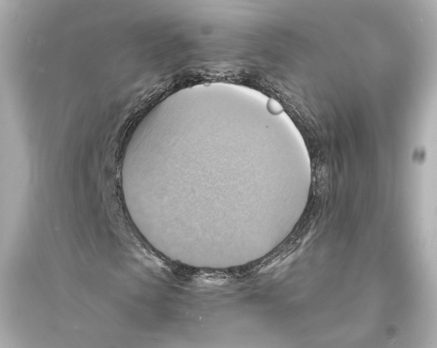 X0000093730913200711131034