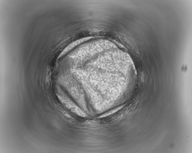 X0000093730914200711131034