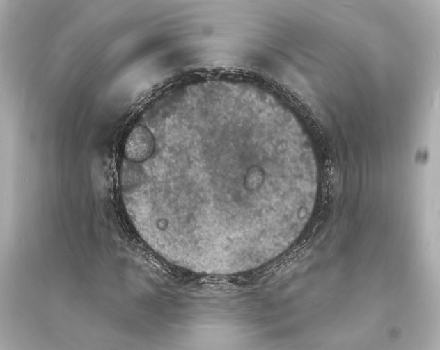 X0000093730918200711131034