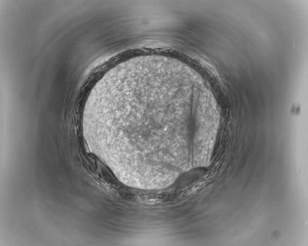 X0000093730920200711131034