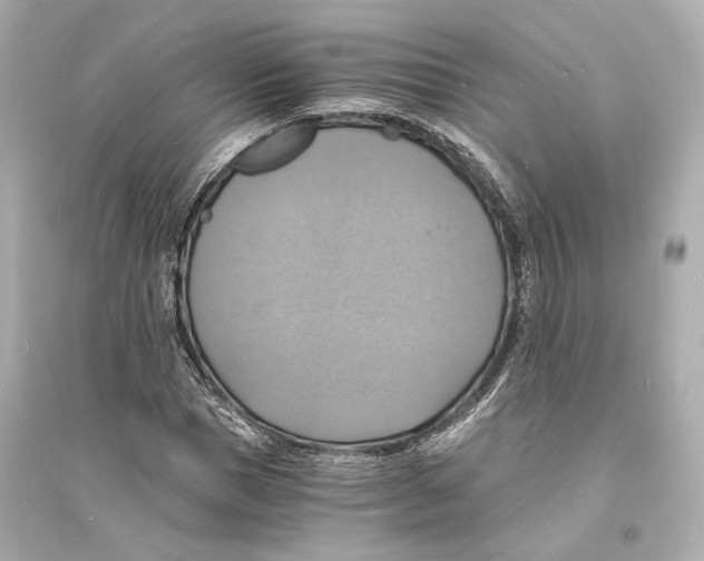 X0000093730921200711131034