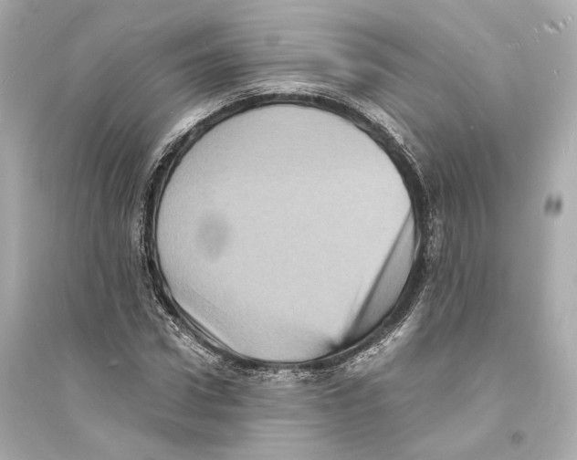 X0000093730922200711131034