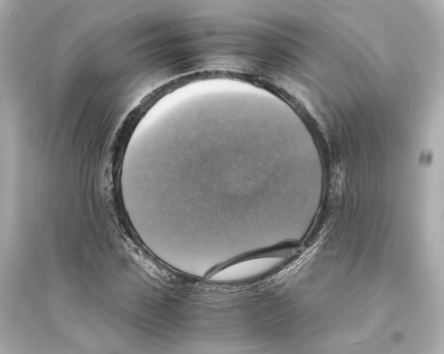 X0000093730923200711131034