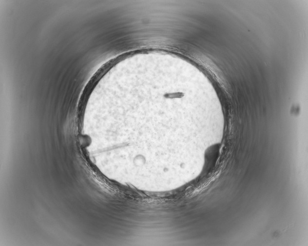X0000093730924200711131034