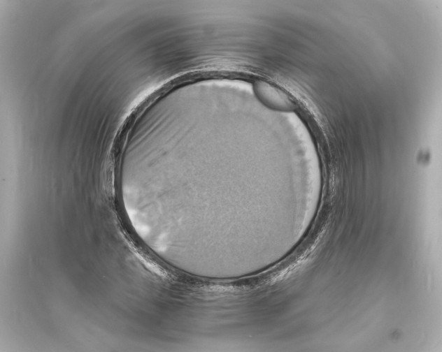 X0000093730925200711131034