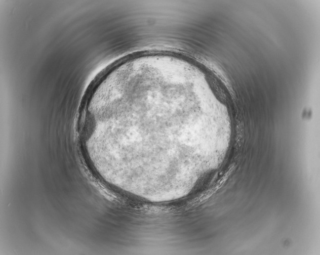 X0000093730928200711131034