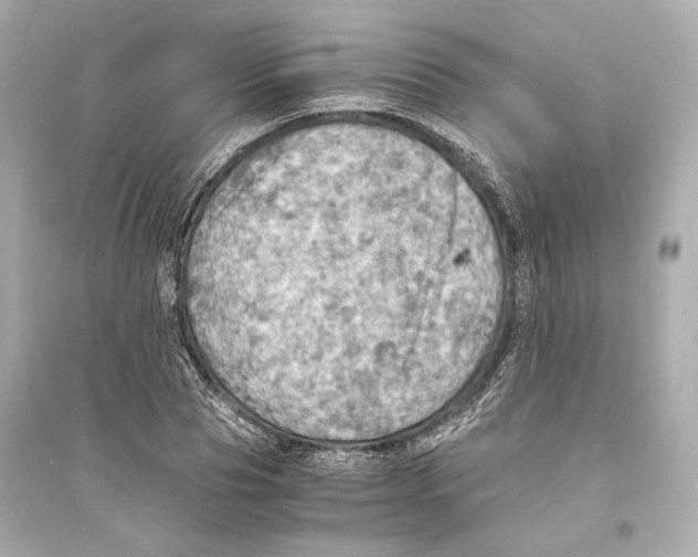 X0000093730929200711131034
